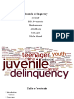 Juvenile Delinquency: Section F Bba 3 Semester Members Name: Abdul Raziq Sara Agha Nilofar Ahmadi