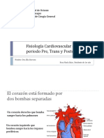 Seminario Fisiologia Cardiovascular