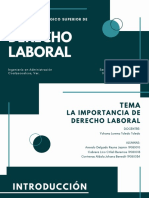 Importancia Del Derecho Laboral PDF