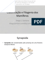 15 - Classificação e Filogenia Dos Mamíferos