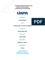 Tarea 3 de Psicopatologia 1. Raquel