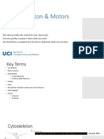 06 Cytoskeleton 2020 Notes