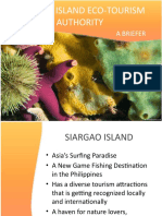 Siargao Island Eco-Tourism Authority: A Briefer