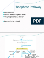 Pentose Phosphate Pathway