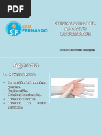 Semiologia de Muñeca y Mano PDF