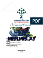 Proyecto Final, Mermelay