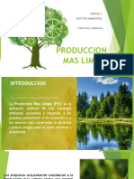 Produccion Mas Limpia PDF