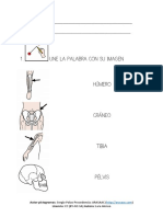 Actividades de Los Huesos