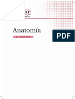 Anatomía. Serie RT PDF