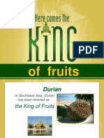 Durian Fruit Properties