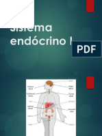 Sistema Endócrino I - FCMMG