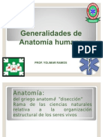 Posicion Anatomica Humana