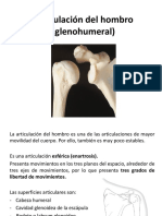 Articulación Glenohumeral Lippert v2 PDF