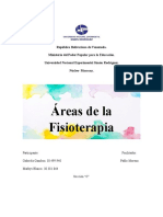 Áreas de La Fisioterapia