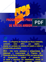 PPRA - Programa de Prevenção de Riscos Ambientais - 02595 (E 2)