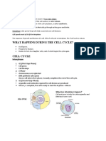 Cell Division: Interphase