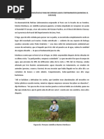 PDF Documento