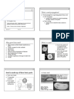What Is Seed Propagation?