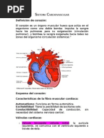 Sistema Cardiovascular