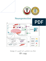 Neuroprotection: Group: C - يلوجنلا بغار يداهلادبع دمحم اللهدبع