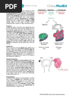 Gynecology - Adnexal Mass