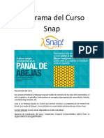 Programa Curso Snap