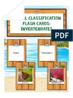 Animal Classification Flash Cards Invertebrates