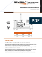 SG/PG Series: Industrial Spark-Ignited Generator Set