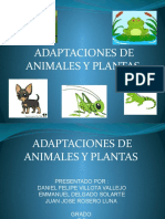 Adaptaciones de Animales y Plantas Y PUMA