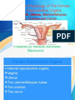 Anatomy and Physiology of The Vagina