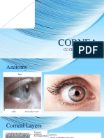 Cornea