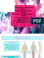 Cuadro Comparativo