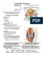 90 Essential Nutrients-Cellular Level