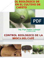 Aplicacion o Liberacion de Controladores Biologicos