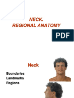 Neck Topography