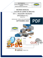 Informe Cierre de Brechas Ecf 1