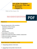 Chapter 14 - Overview of The Circulation