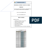 Informe Mensual SSO - DICIEMBRE