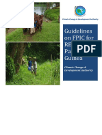 PNG FPIC Guideline