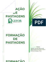 E-Book Formação de Pastagens