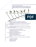 Cladogramas - Aula Virtual 17-18