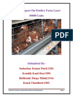 Project Report On Poultry Farm Layer 50000 Units