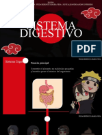 Sistema Digestivo