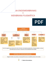 Membrana Plasmática