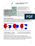 Properties of Enzymes