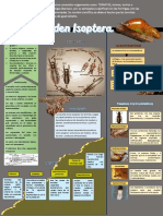 Isoptera Infografia