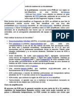 Biología Molecular 1986 Kary Mullis ADN: Desoxinucleótidos Trifosfato Polimerizar Cebadores Oligonucleótidos