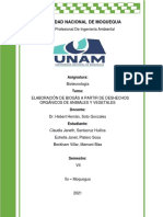 Informe de Contrucción de Un Biodigestor