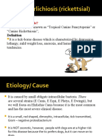 Canine Ehrlichiosis