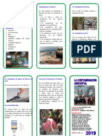 TRIPTICO La Contaminacion Ambiental 2019